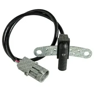 Mte Thomson - 70325