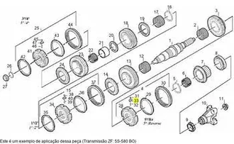 Zf - 1307198412