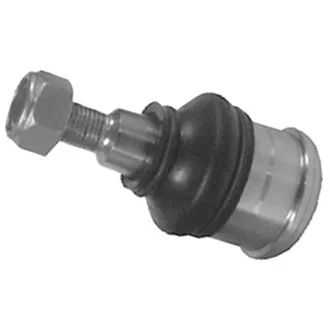 Amortex - 53129