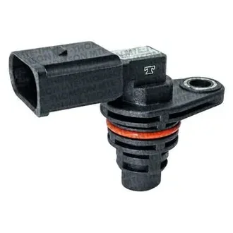 Mte Thomson - 7057