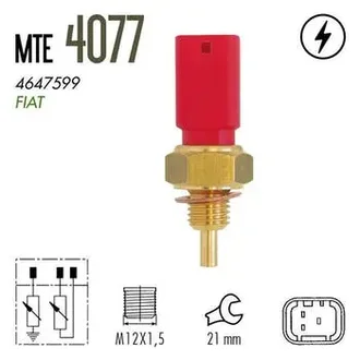 Mte Thomson - 4077