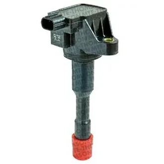 Mte Thomson - 79546