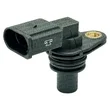 Mte Thomson - 70407
