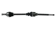 Skf - VKJC 4479