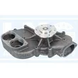 Lng - 20-266