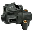 Mte Thomson - 7418