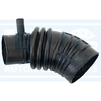 Lng - 09-022
