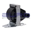 Euro - 30540