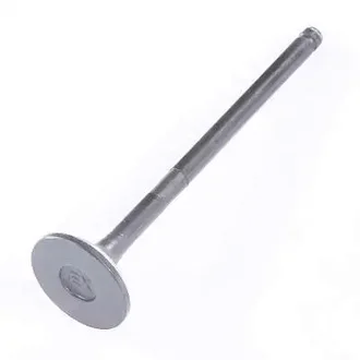 Nakamoto - 26520