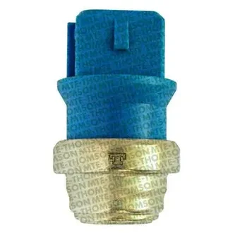 Mte Thomson - 3170