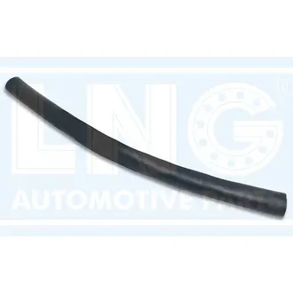 Lng - 20-118
