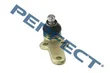 Perfect - PVI3396