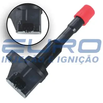 Euro - 30611
