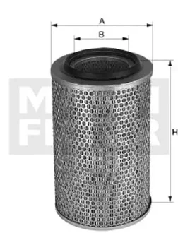 Mann - C29624