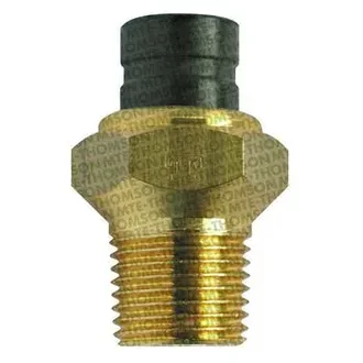 Mte Thomson - 3046