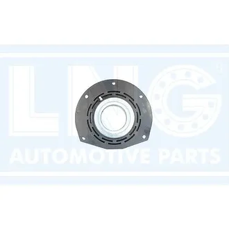 Lng - 41-365