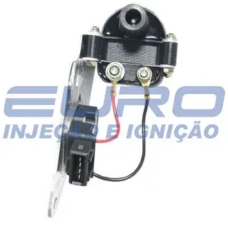 Euro - 30537