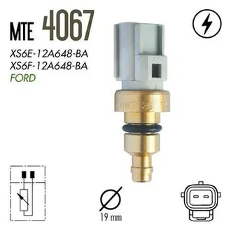 Mte Thomson - 4067