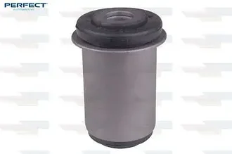 Perfect - BCH2101