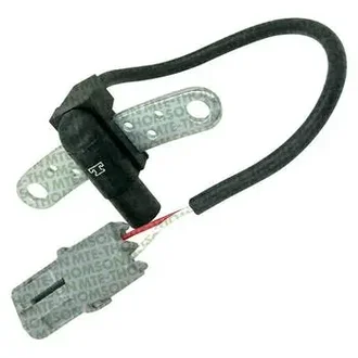 Mte Thomson - 7034