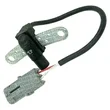 Mte Thomson - 7034