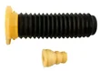 Kit & Cia - 55500